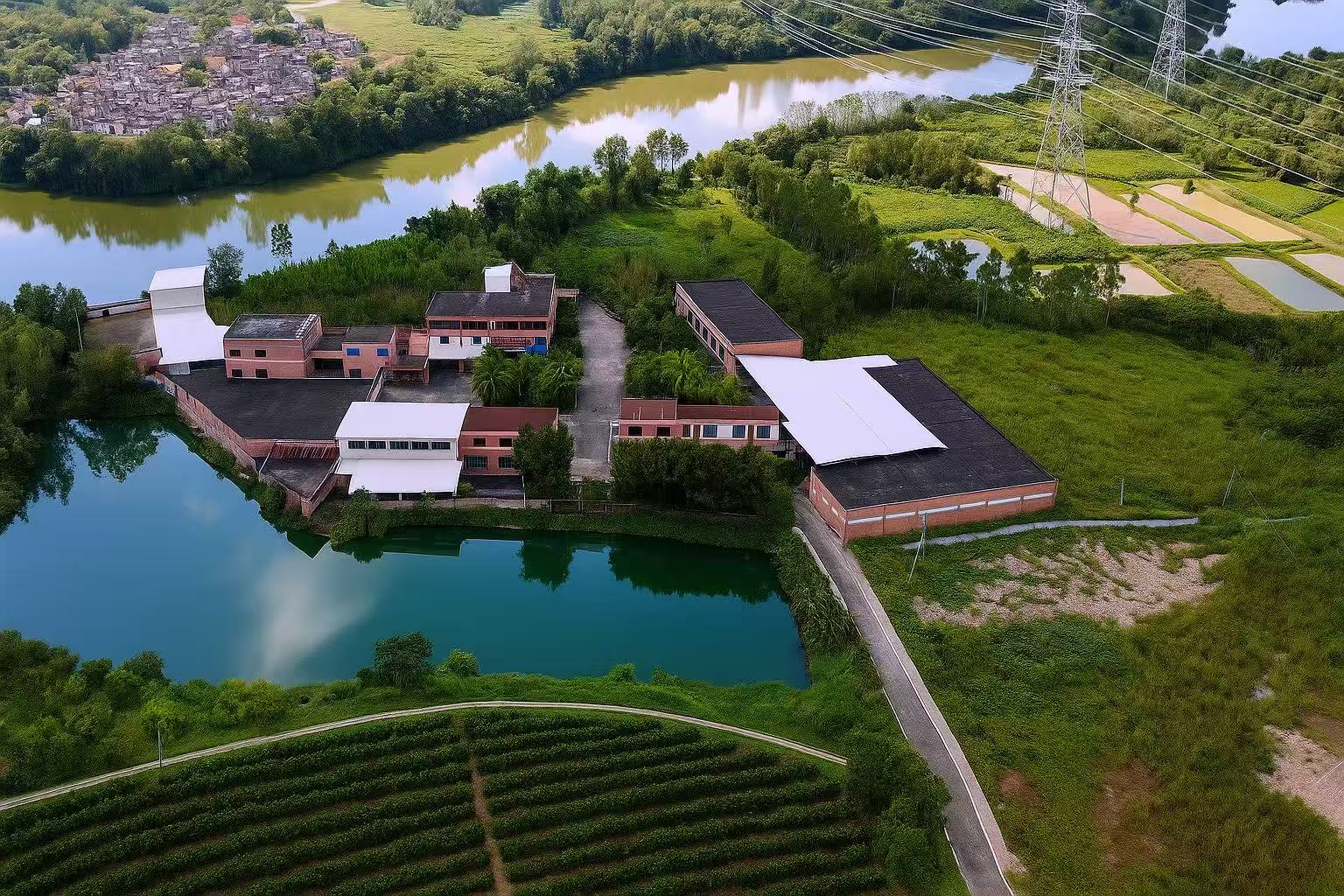 d69396c1974211134f918028651ee984